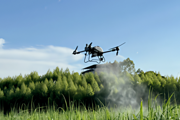 陆屋镇：严守耕地红线 成就“甜蜜事业”